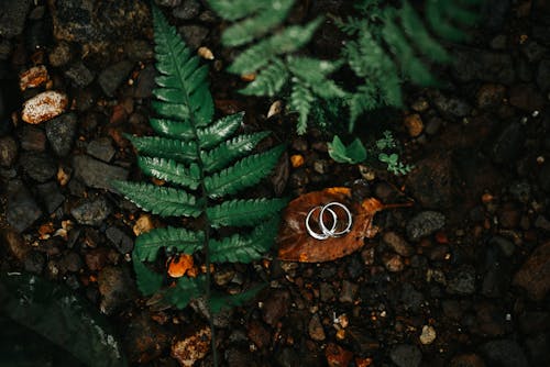 A Silver Ring Near the Green Leaves on the Ground