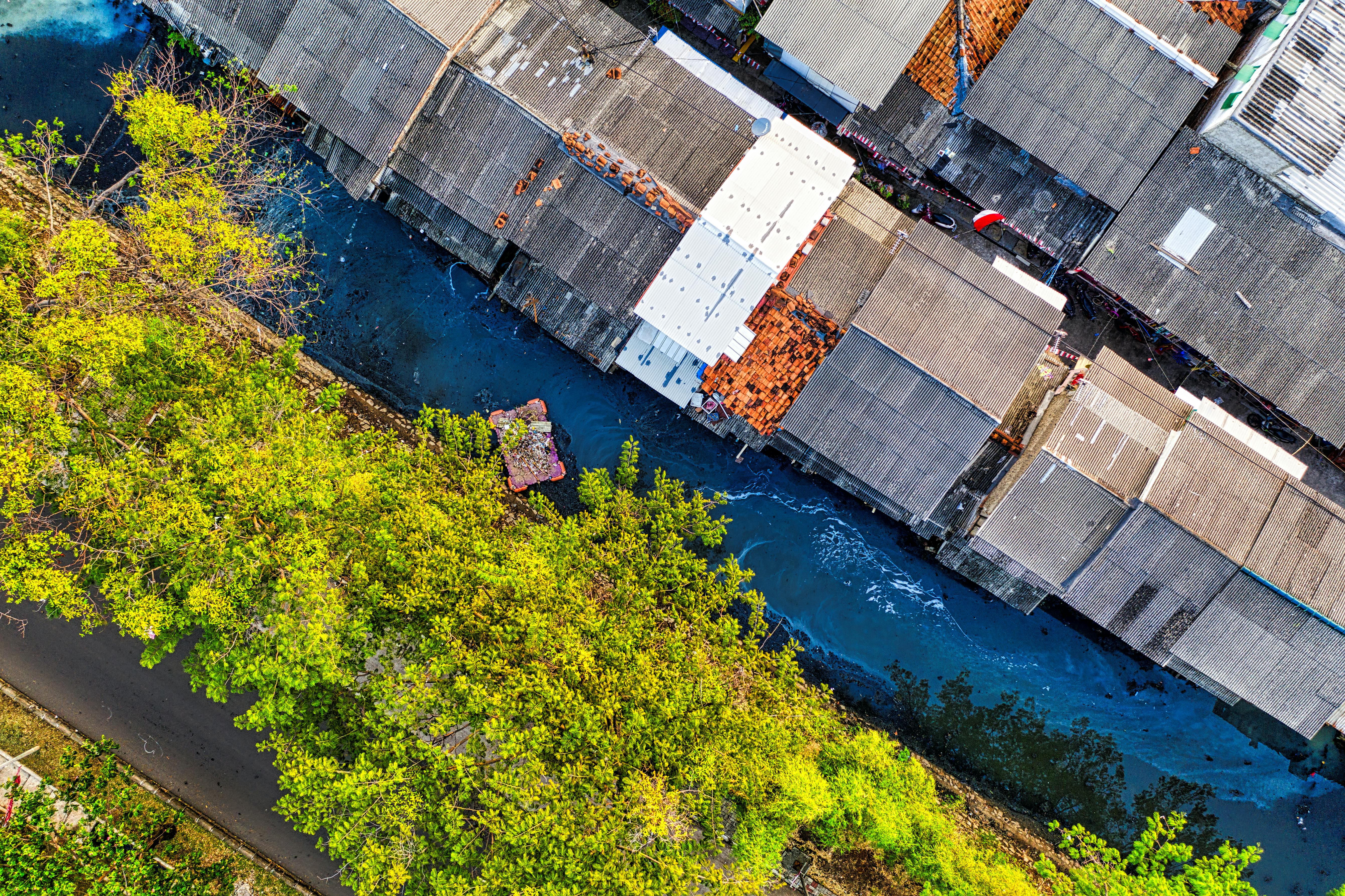 Sewage Cleanup service in Burbank, California — sewage cleanup and sanitization