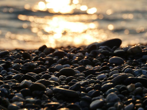 Free stock photo of bed of rocks, golden sunrise, ocean Stock Photo