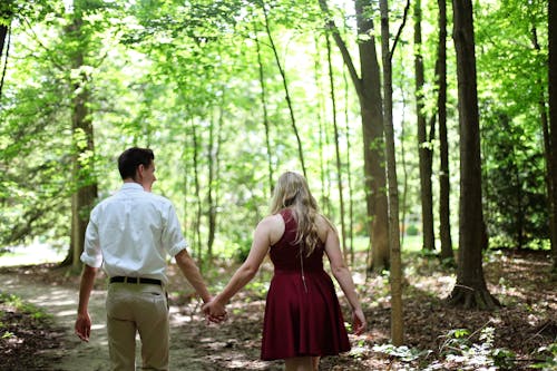 여자와 남자는 숲에서 산책하는 동안 손을 잡고