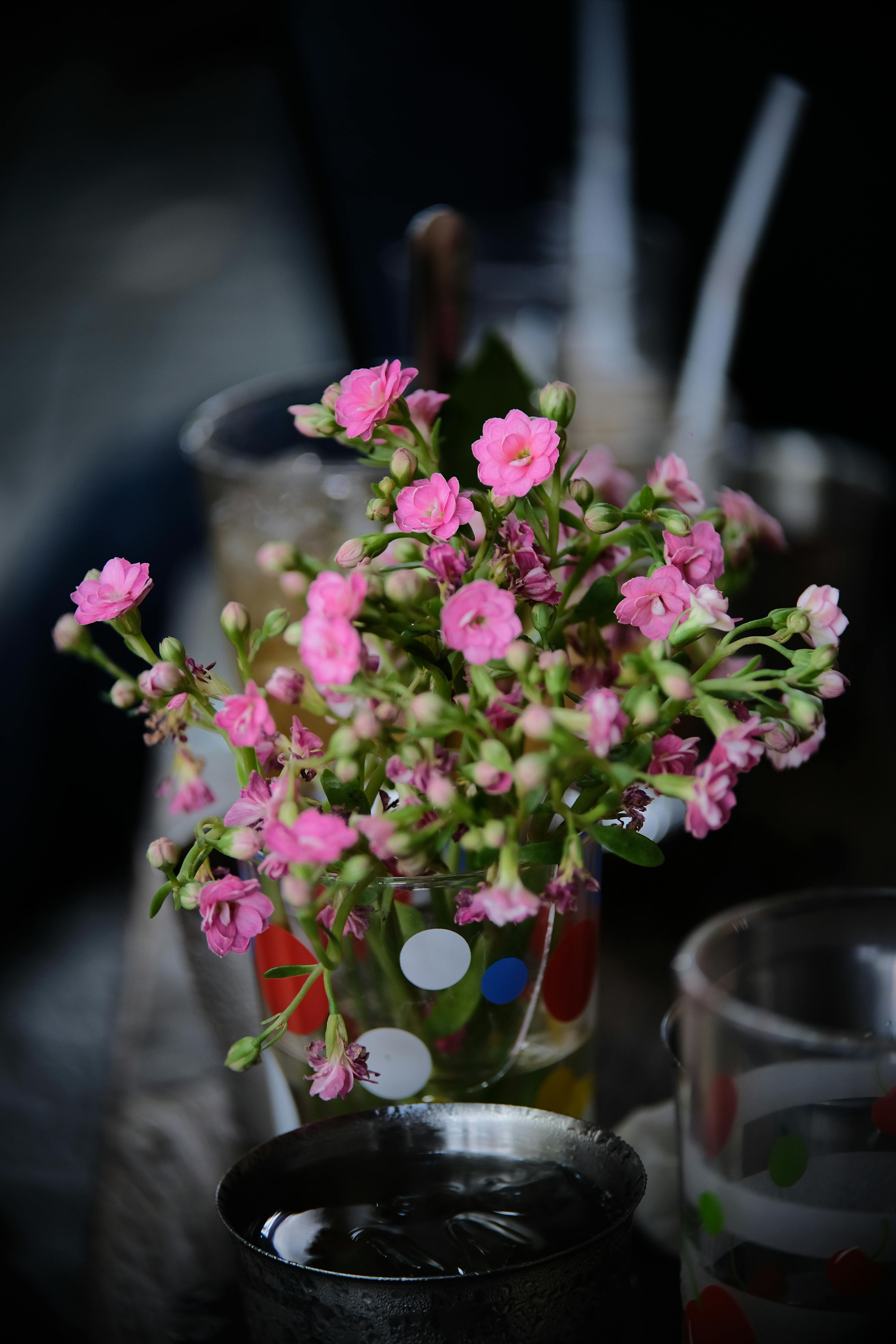 [ColoSach]-close-up-view-of-pink-flowers-beautifully-arranged-in-a-colorful-glass-vase,-perfect-as-a-fresh-decor-idea.