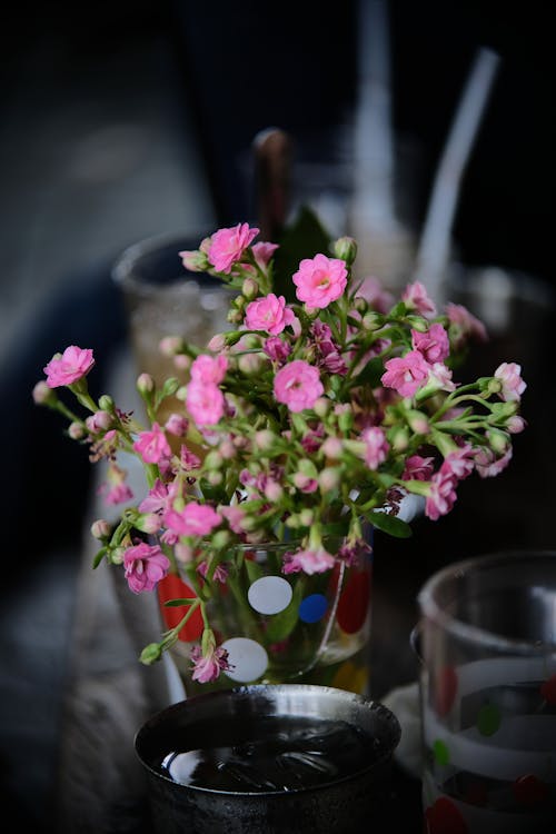 Gratis arkivbilde med blomster, frisk, gryte