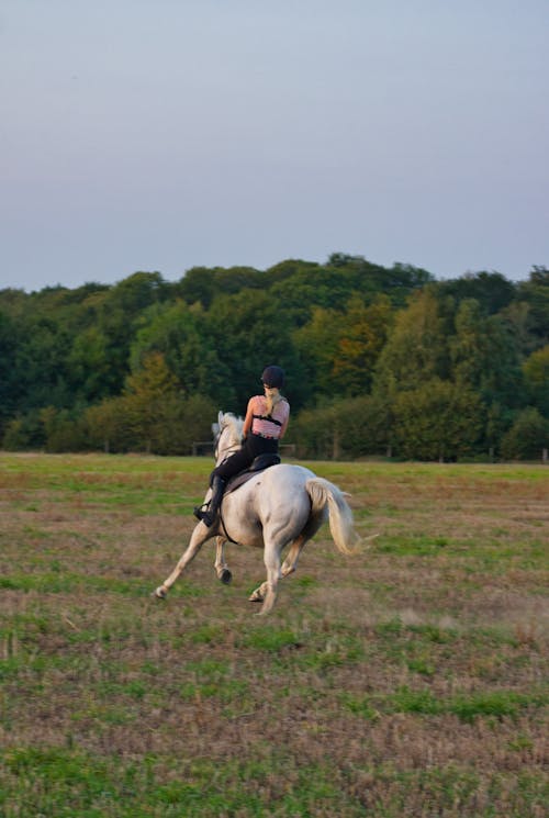 Back view of unrecognizable female equestrian in helmet riding graceful gray horse on grassy meadow near lush green forest
