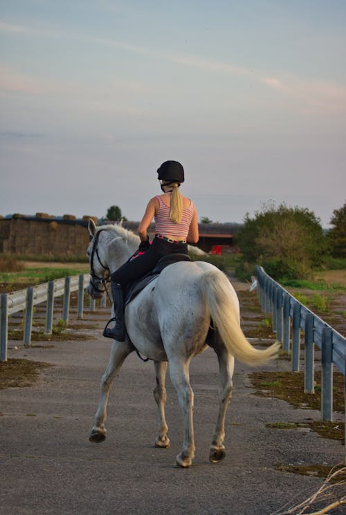 Unrecognizable female equestrian riding horse on road in countryside