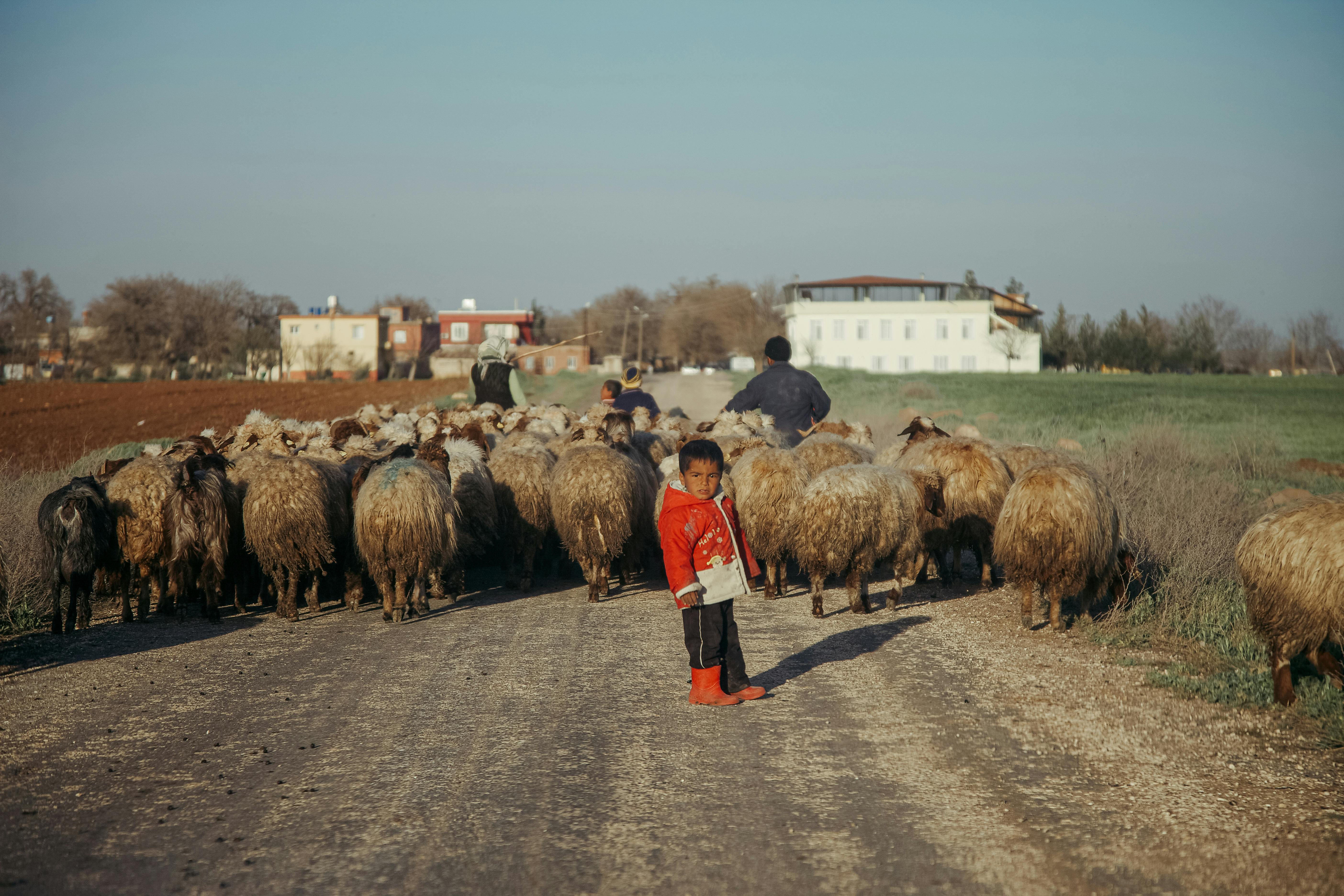 What are Aries known for negative?