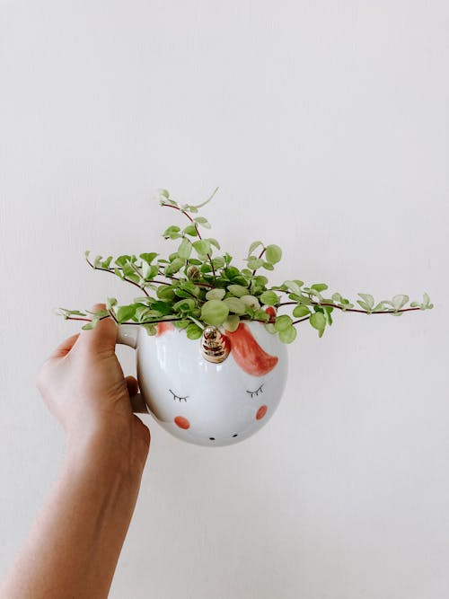 Person with mug of fresh plant