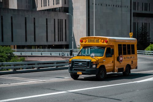 Fotos de stock gratuitas de autobús escolar, carretera, sistema de transporte