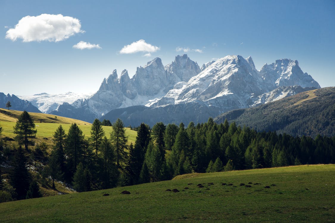 Green Grass Field with Trees Near Snow Covered Mountains 