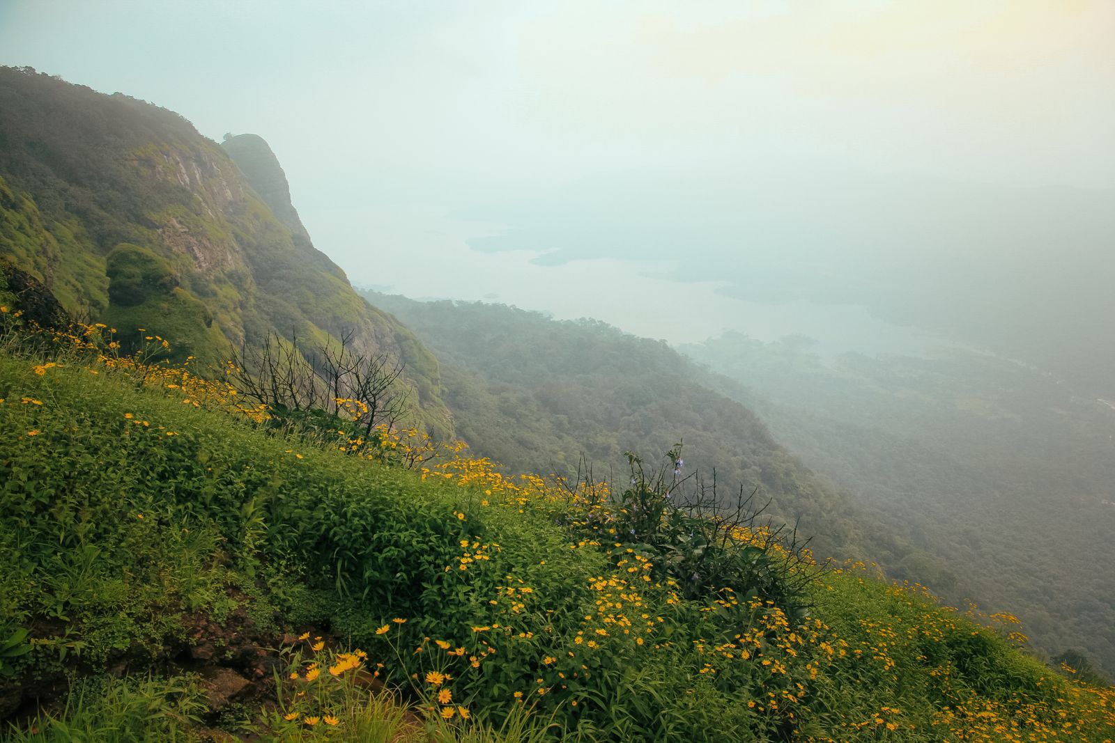 Kurinjal Trek