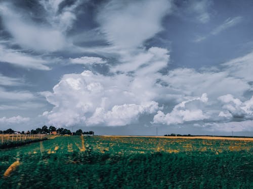 Picturesque landscape of green lush agricultural fields against amazing cloudy sky in countryside