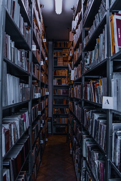 Free Narrow corridor between bookshelves with rows of various literature in aged traditional library in daylight Stock Photo