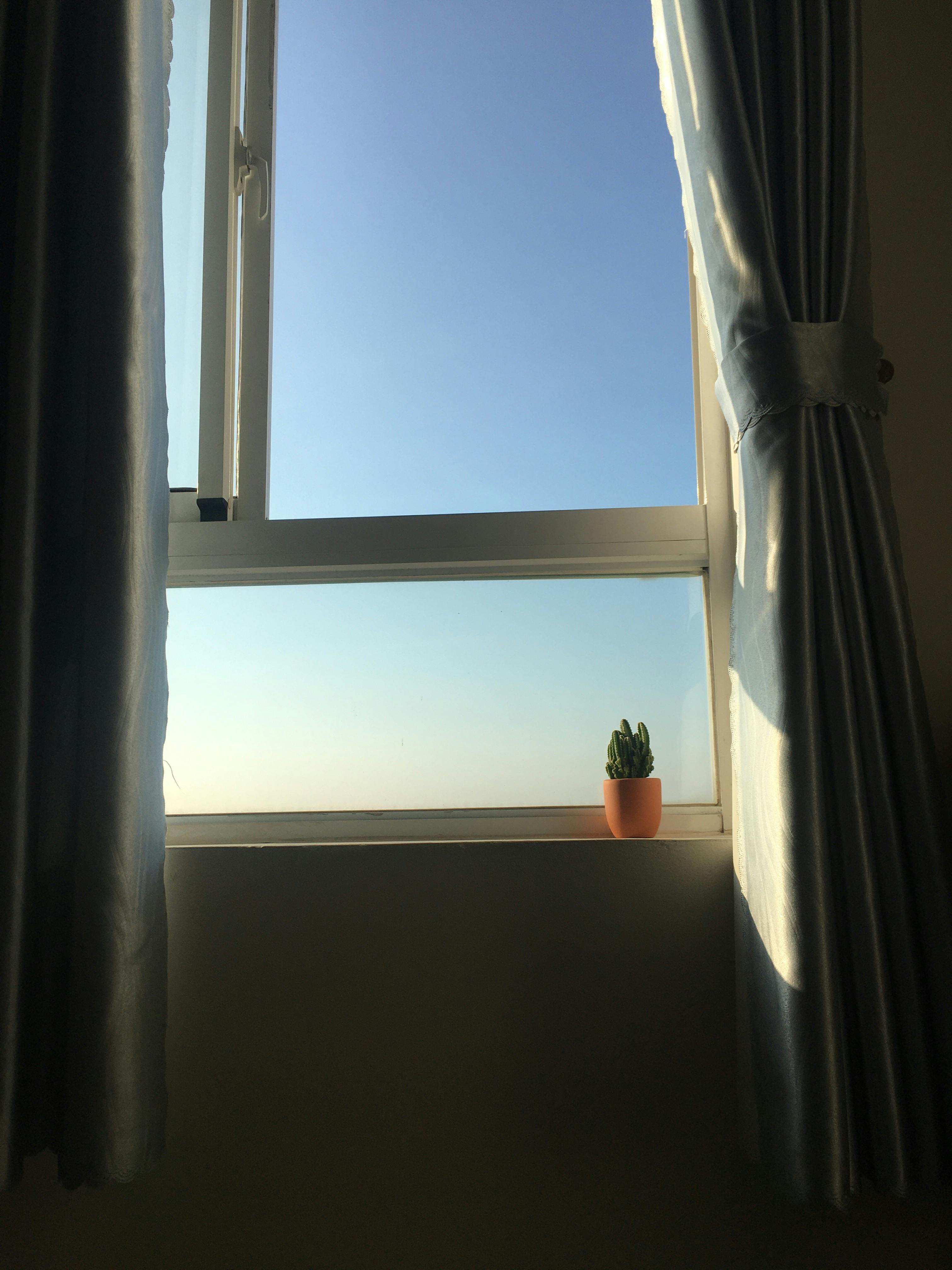 A minimalistic indoor scene featuring a cactus on a windowsill against a clear blue sky.