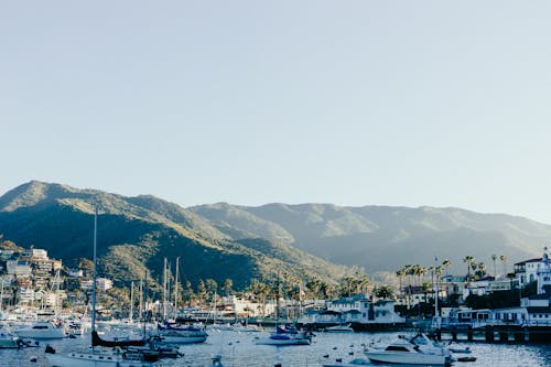 Бесплатное стоковое фото с горы, залив, лодки