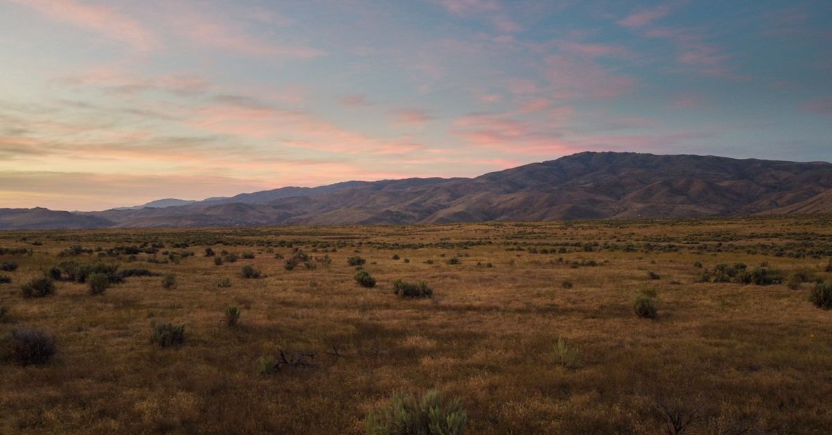 Panorama of spectacular dry field with shrubs in front of mountains under colorful sky