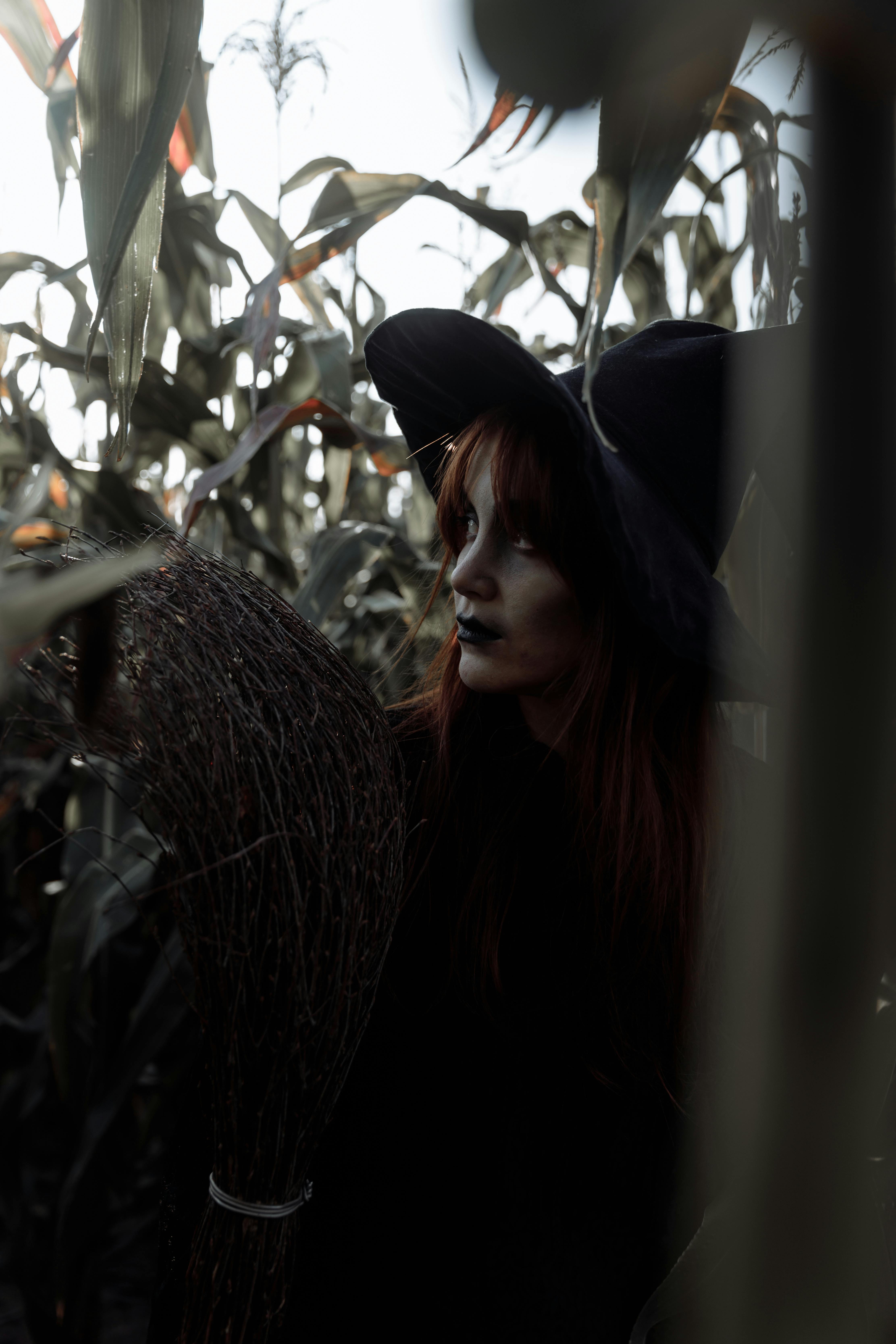 witch in a corn field