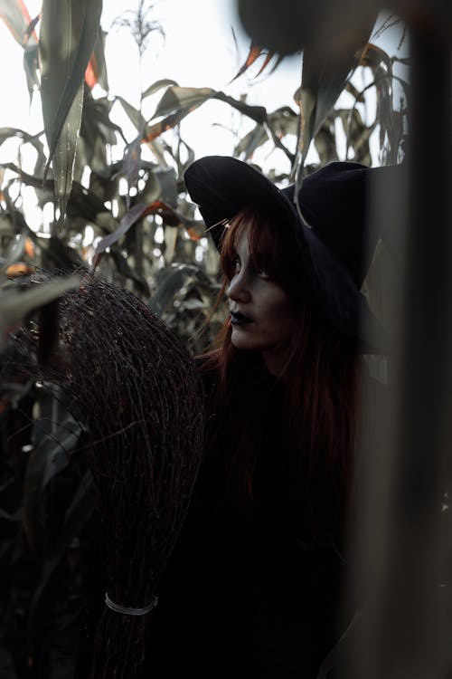 Free Witch in a Corn Field Stock Photo