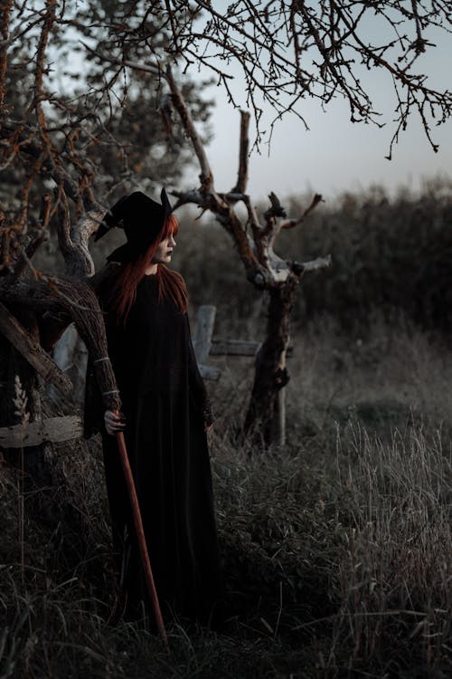 Gratis Penyihir Berdiri Di Luar Foto Stok