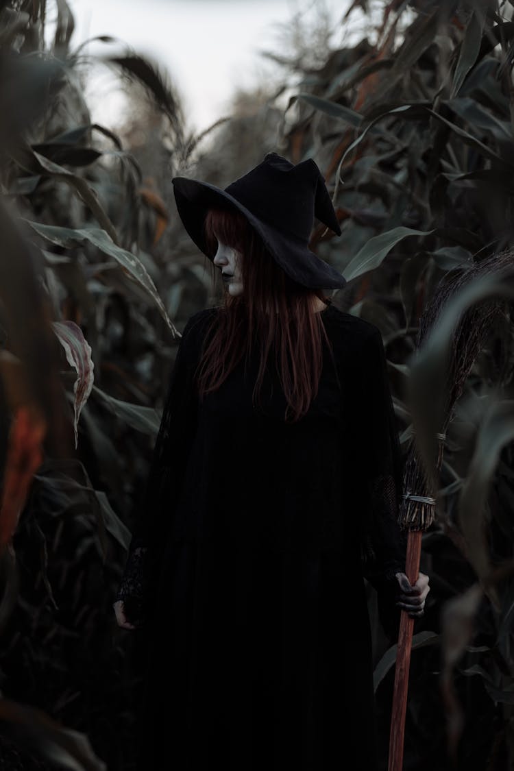 Witch In A Corn Field