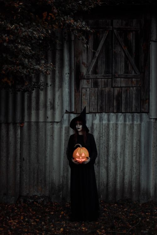 Free A witch in costume holding a carved pumpkin under eerie lighting, perfect for Halloween themes. Stock Photo