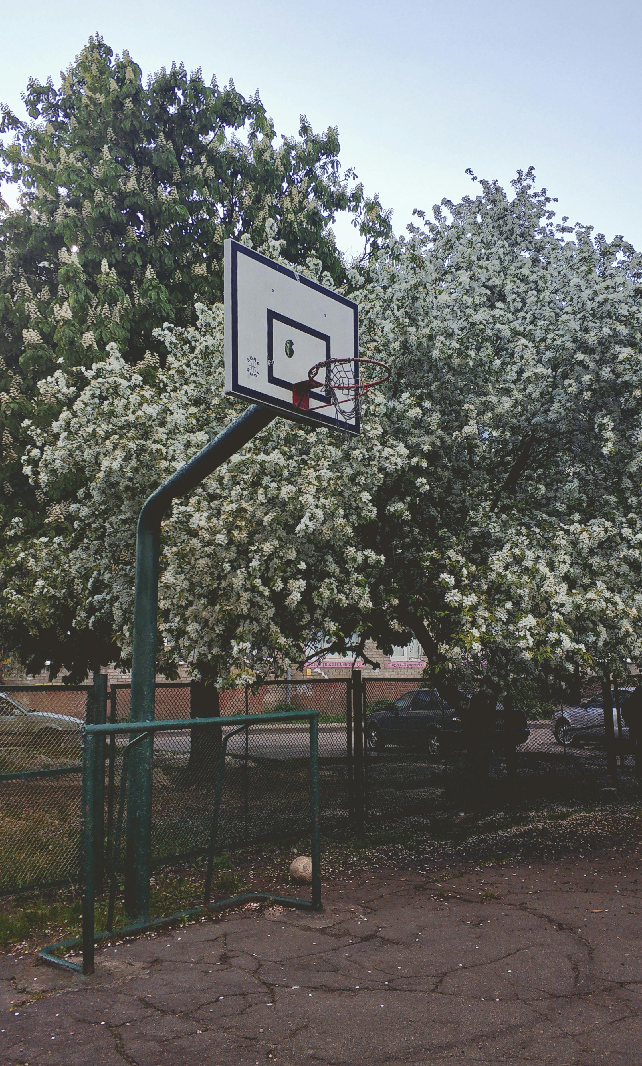 basket on a field