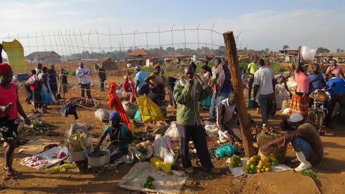 Gratis arkivbilde med afrika, kampala, marked