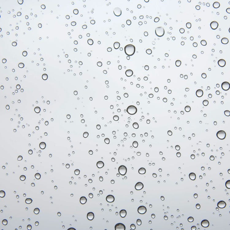 grátis água Orvalho Em Vidro Transparente Foto profissional