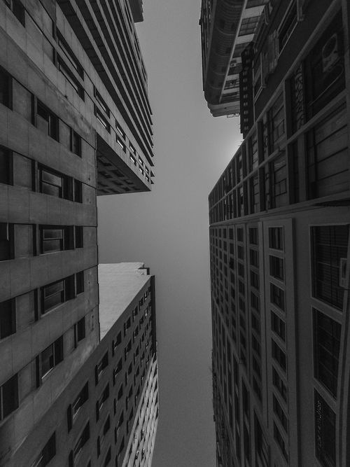 Free From below of black and white contemporary multistory buildings with geometric windows located against cloudless sky on sunny day Stock Photo