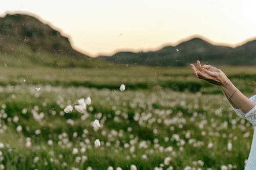 Las Personas Con La Mano Sobre El Campo De Hierba Verde