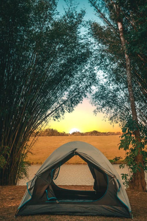 Gray Tent on Brown Ground Near Green Bamboo Trees