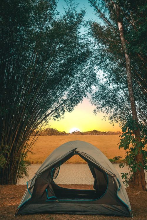 Free A serene outdoor camping scene at sunset with a tent surrounded by bamboo and trees. Stock Photo