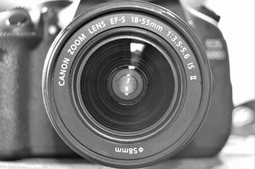 Gratis arkivbilde med canon, digitalt speilreflekskamera, fokus