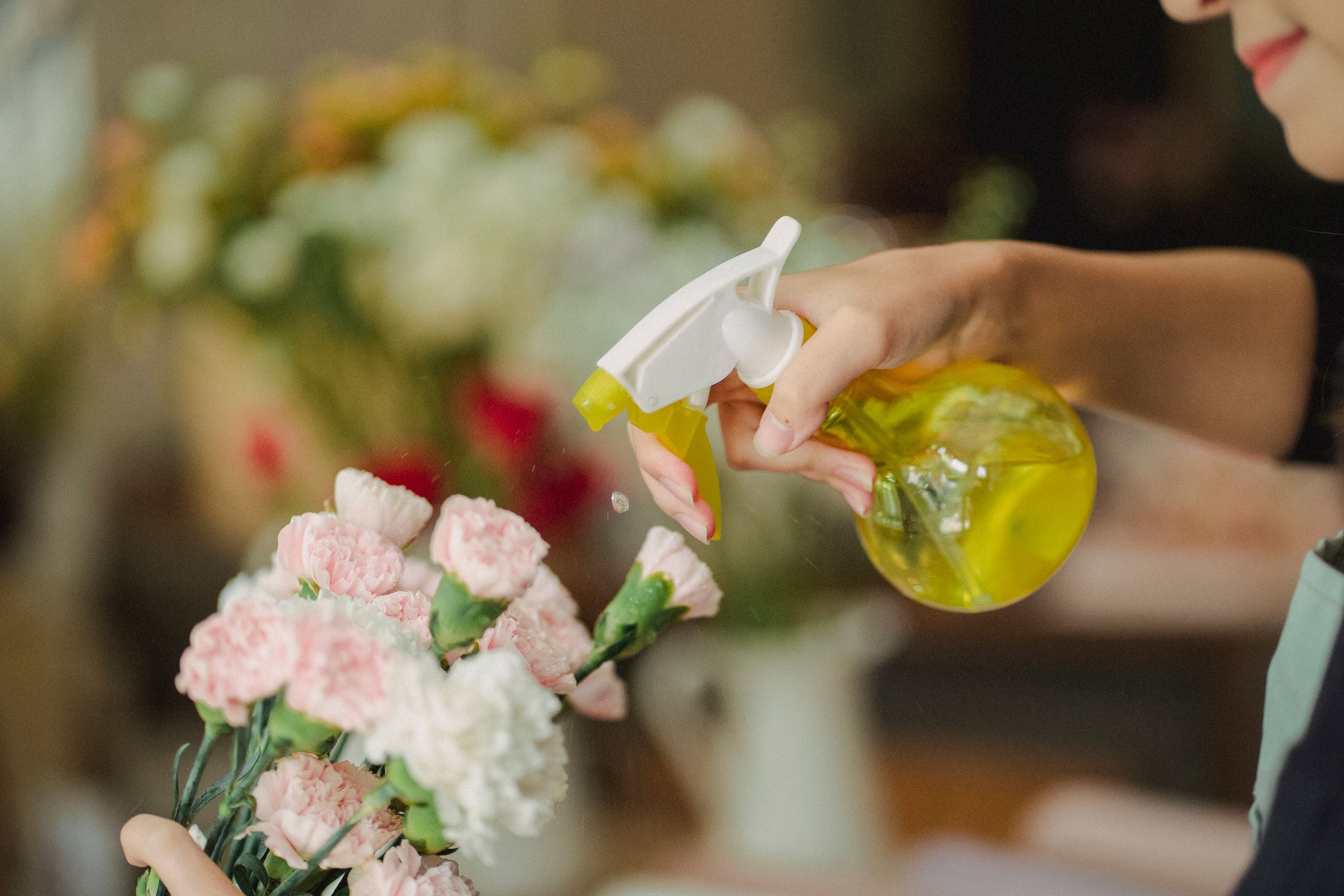 Fresh bouquet