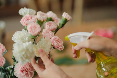 Crop woman spraying water on flowers