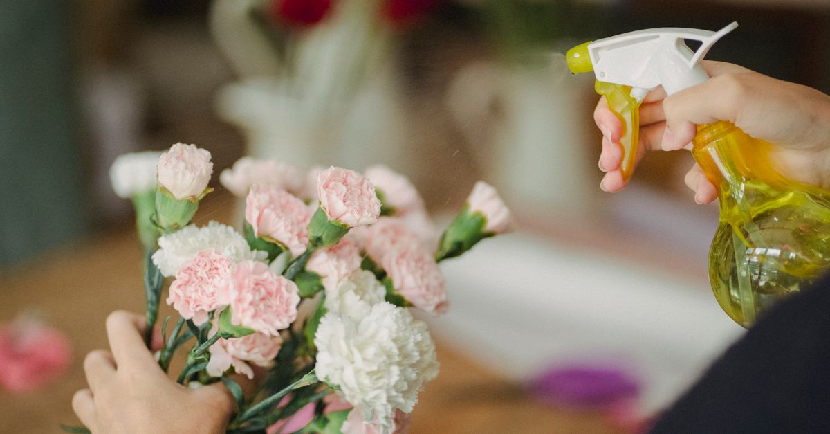10 consejos para mantener flores vibrantes en tu jardín