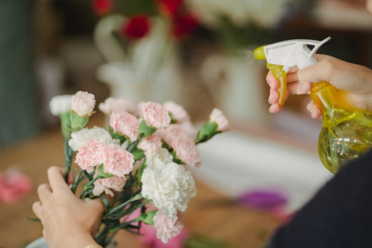 Crop Woman Spraying Water On Flowers