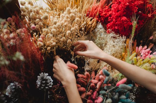 Crop woman with various flowers in shop