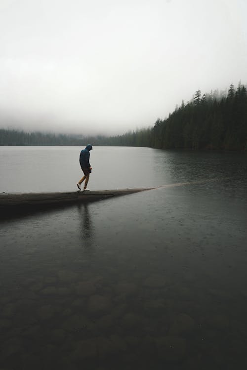 Lonely person walking on shore in fog