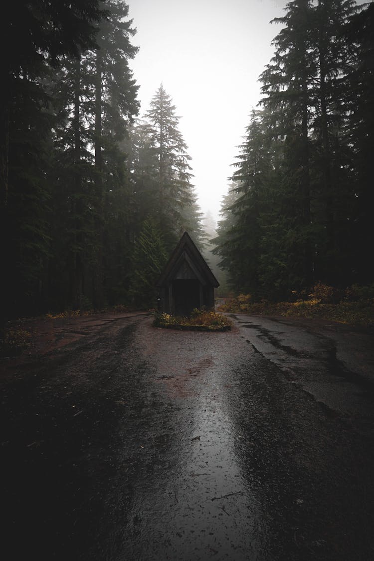 Wooden Cabin On Road In Woods