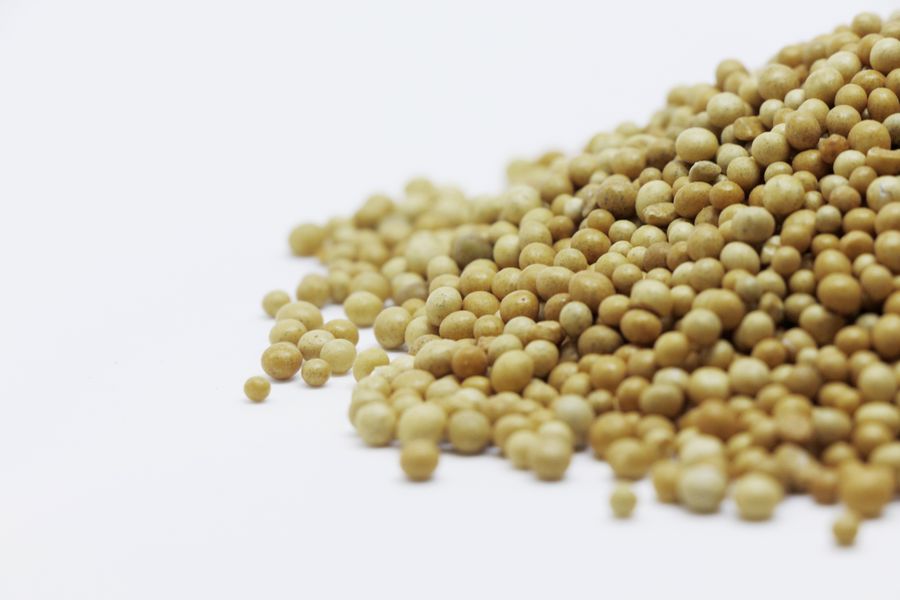 A close-up image showing a pile of brown mustard seeds on a white surface, highlighting their texture and color.