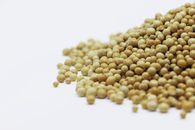 A close-up image showing a pile of brown mustard seeds on a white surface, highlighting their texture and color.