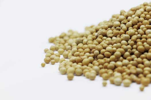 dried black-eyed peas image 3