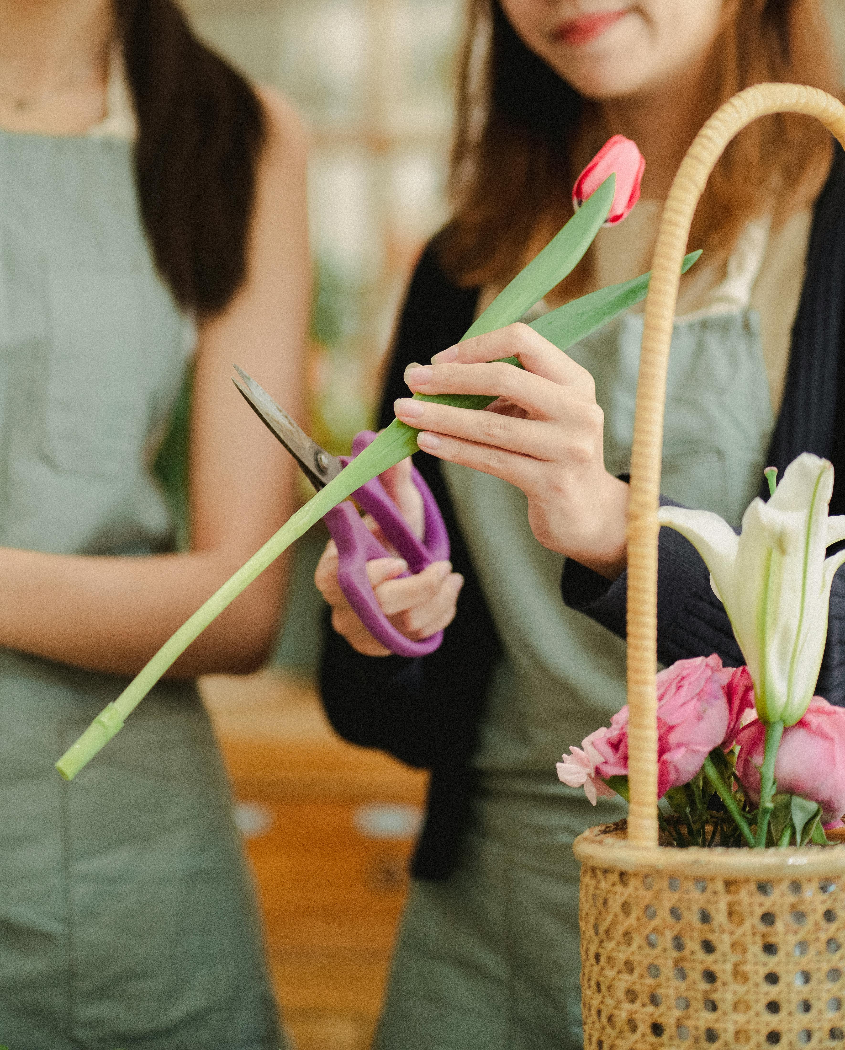 crop florist cutting stem of flower