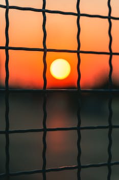 Stunning sunset view behind a silhouetted mesh wire fence capturing vibrant sunset colors.
