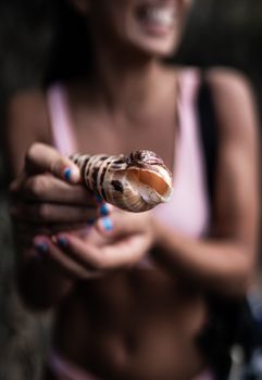 Crop unrecognizable female tourist in bikini showing auger snail mollusk in hand while resting at seaside during summer holidays