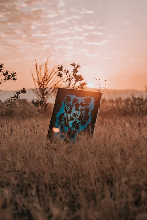 Floral Painting on Brown Grass Field