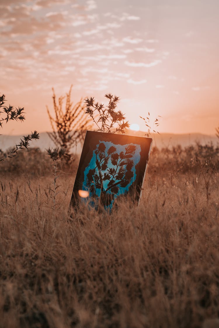 Floral Painting On Brown Grass Field