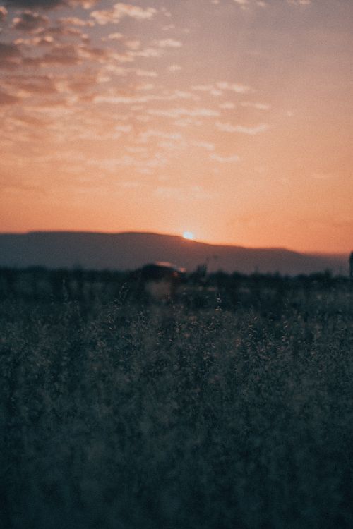 Free A breathtaking sunset paints the sky with warm hues, overlooking a tranquil field and distant hills. Stock Photo