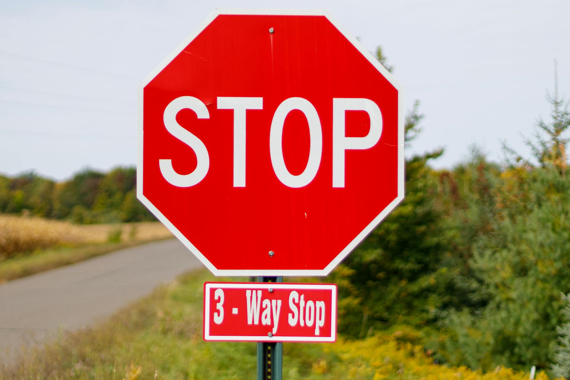 Vibrant red stop sign on a rural road, emphasizing traffic control and safety.