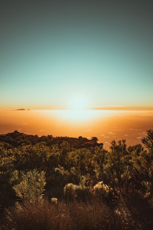 Free Breathtaking view of a vibrant sunset over lush greenery in Cape Town, South Africa. Stock Photo