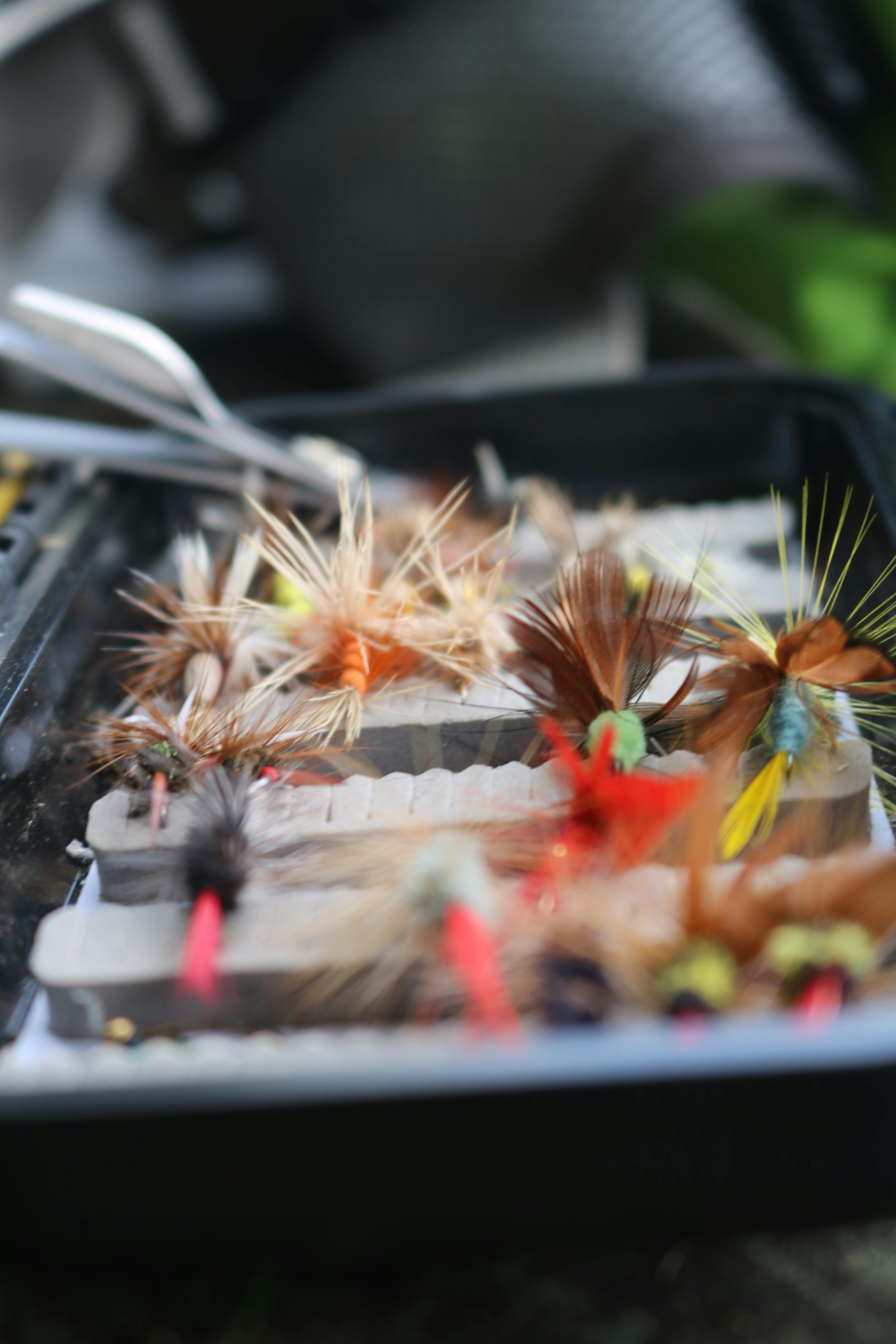A collection of colorful fly fishing lures in a tackle box showcasing intricate feather designs.